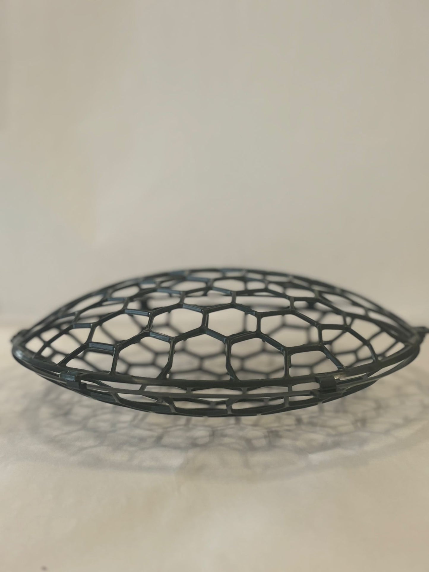 Holly Chapple pillow guard