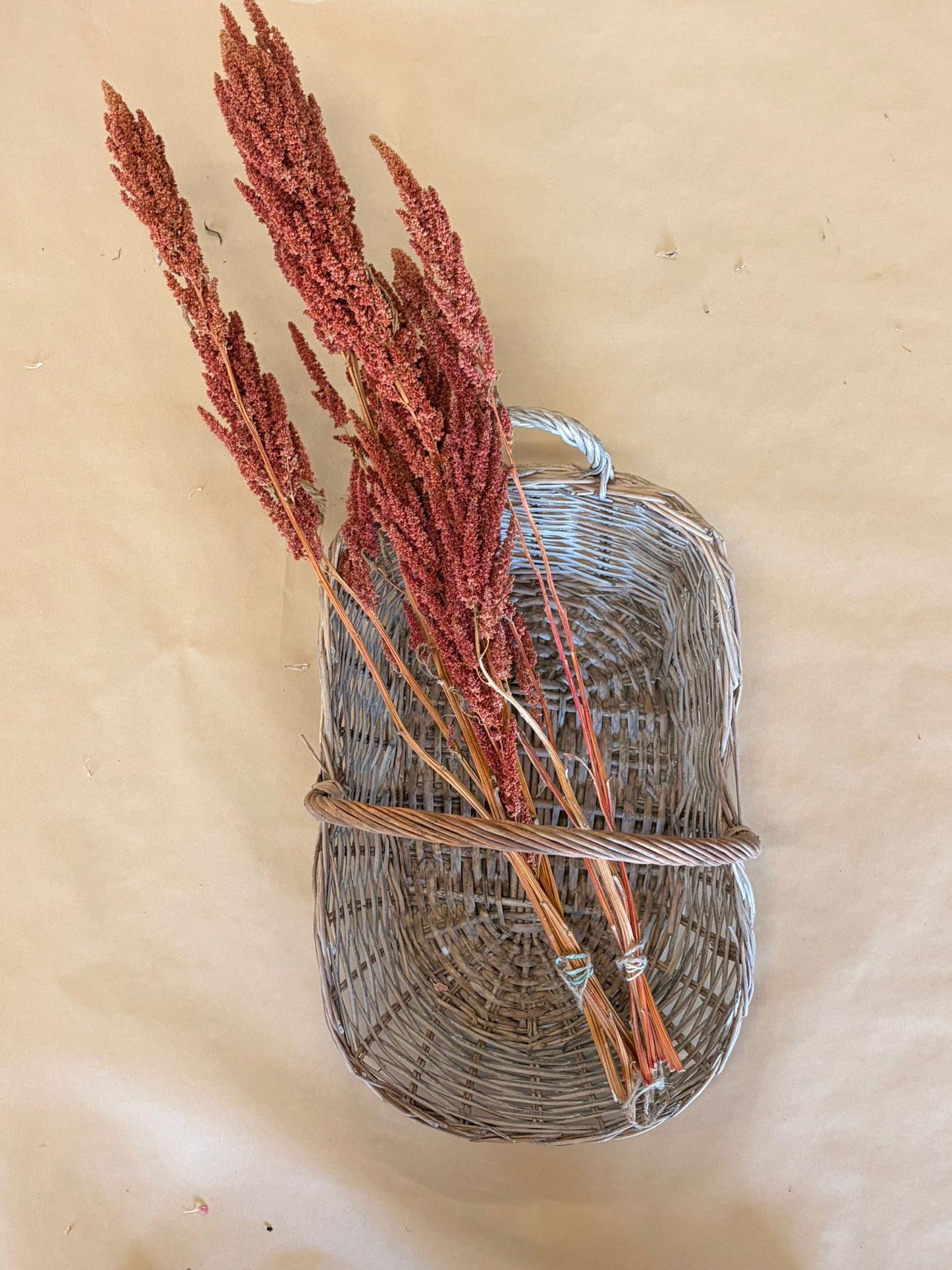 Dried Amaranths