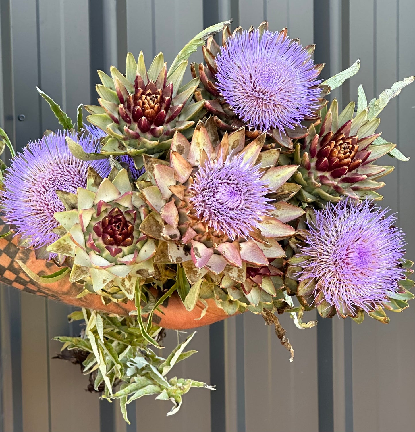 Artichokes