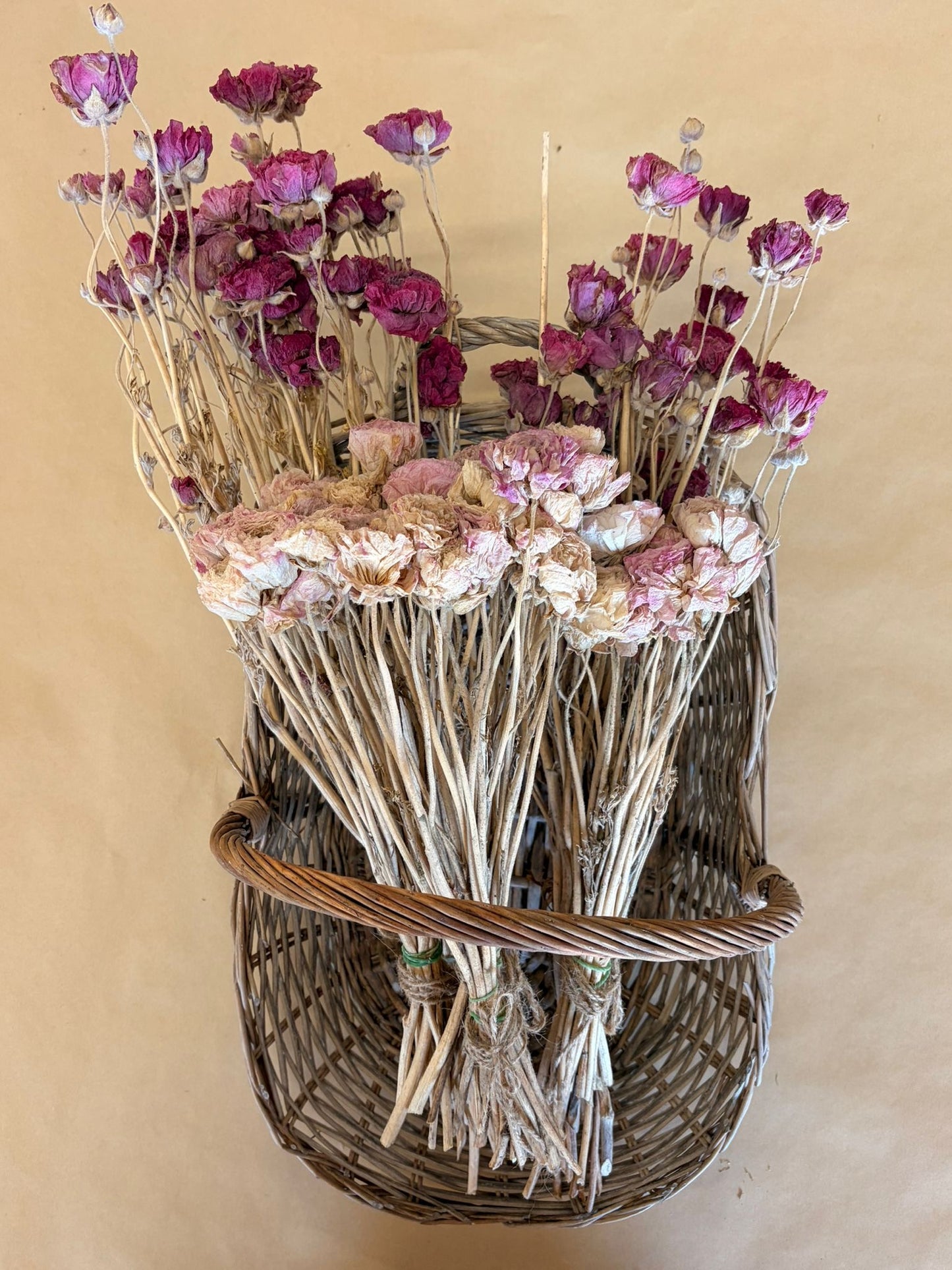 Dried Ranunculus