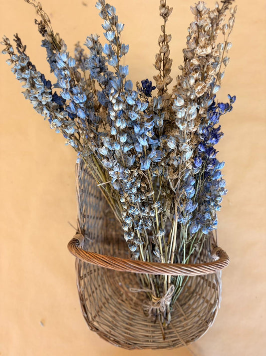 Dried Delphinium