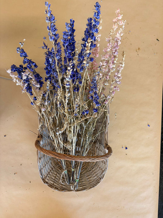 Dried Larkspur