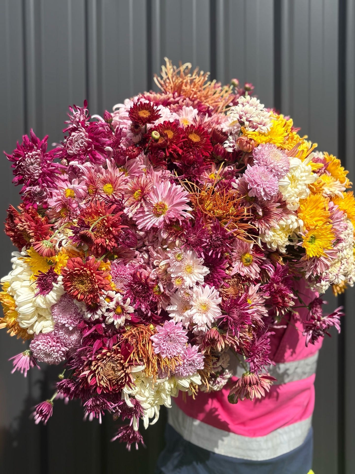 Heirloom Chrysanthememum