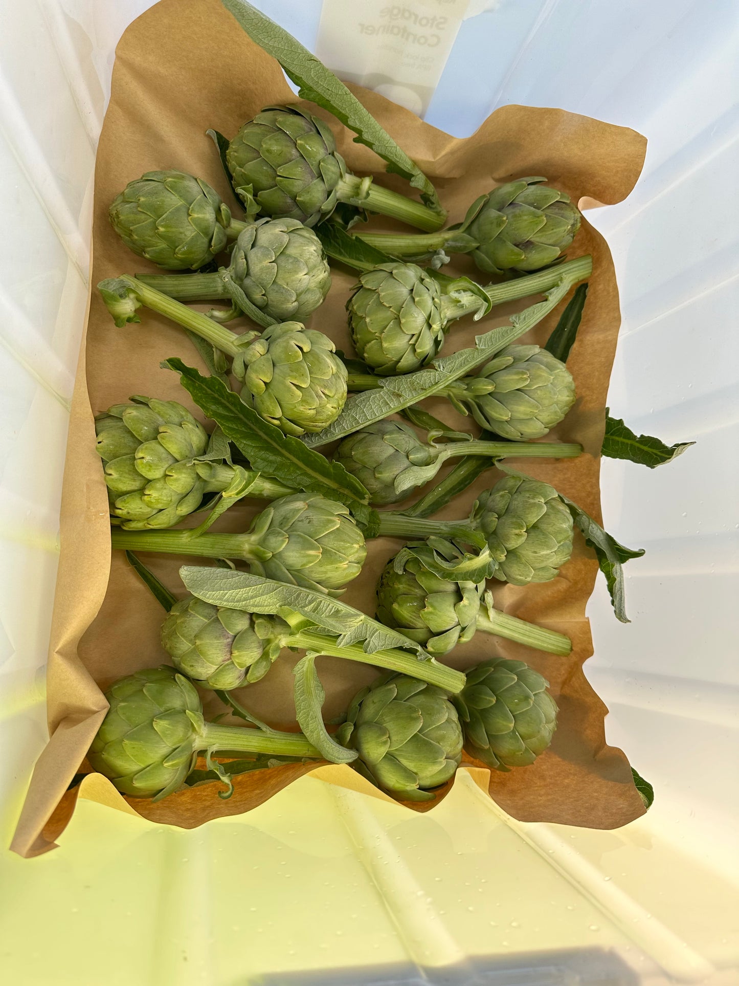 Artichokes