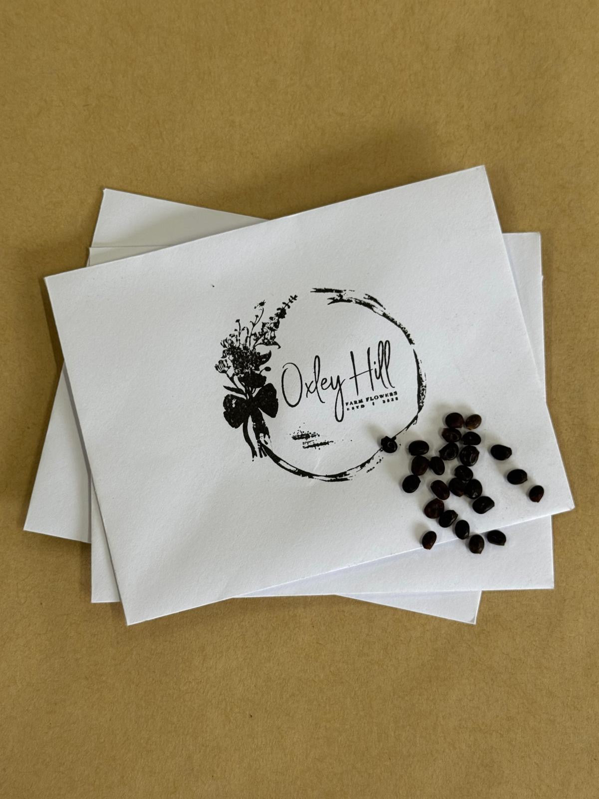 Lupin Seeds