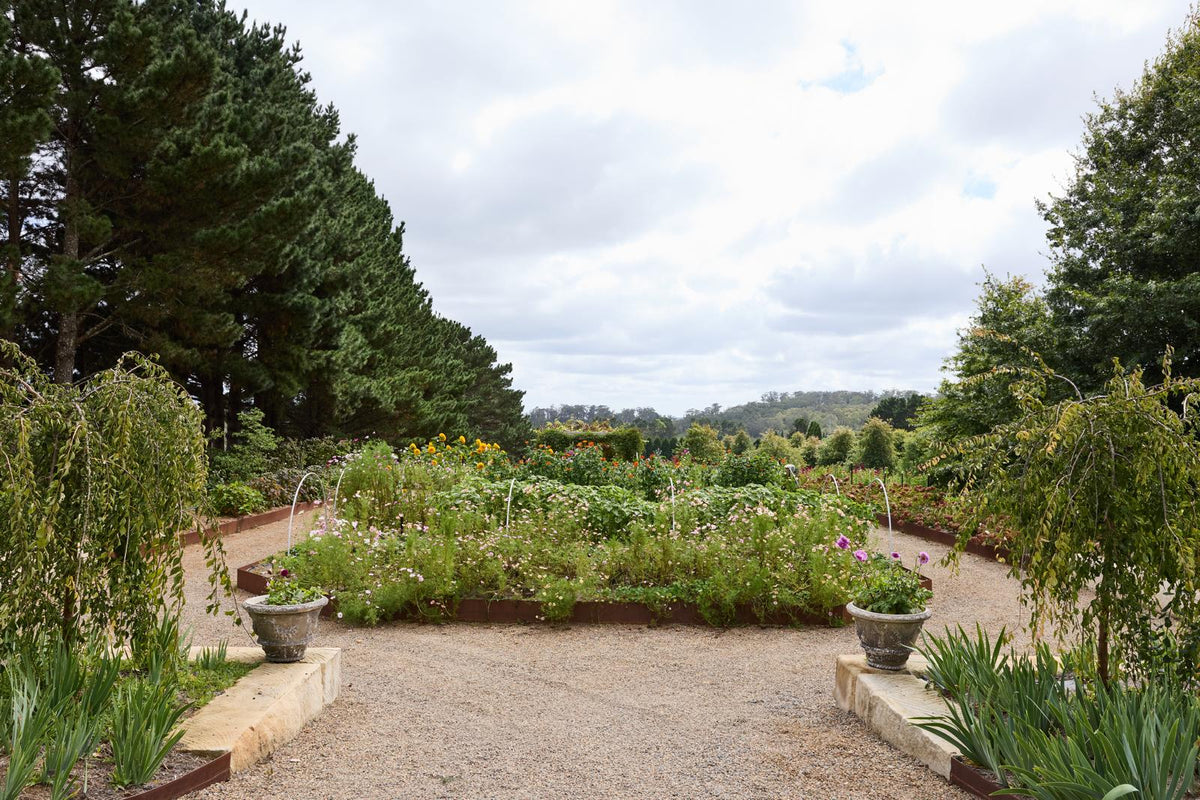 Private tour 10th Nov 2pm