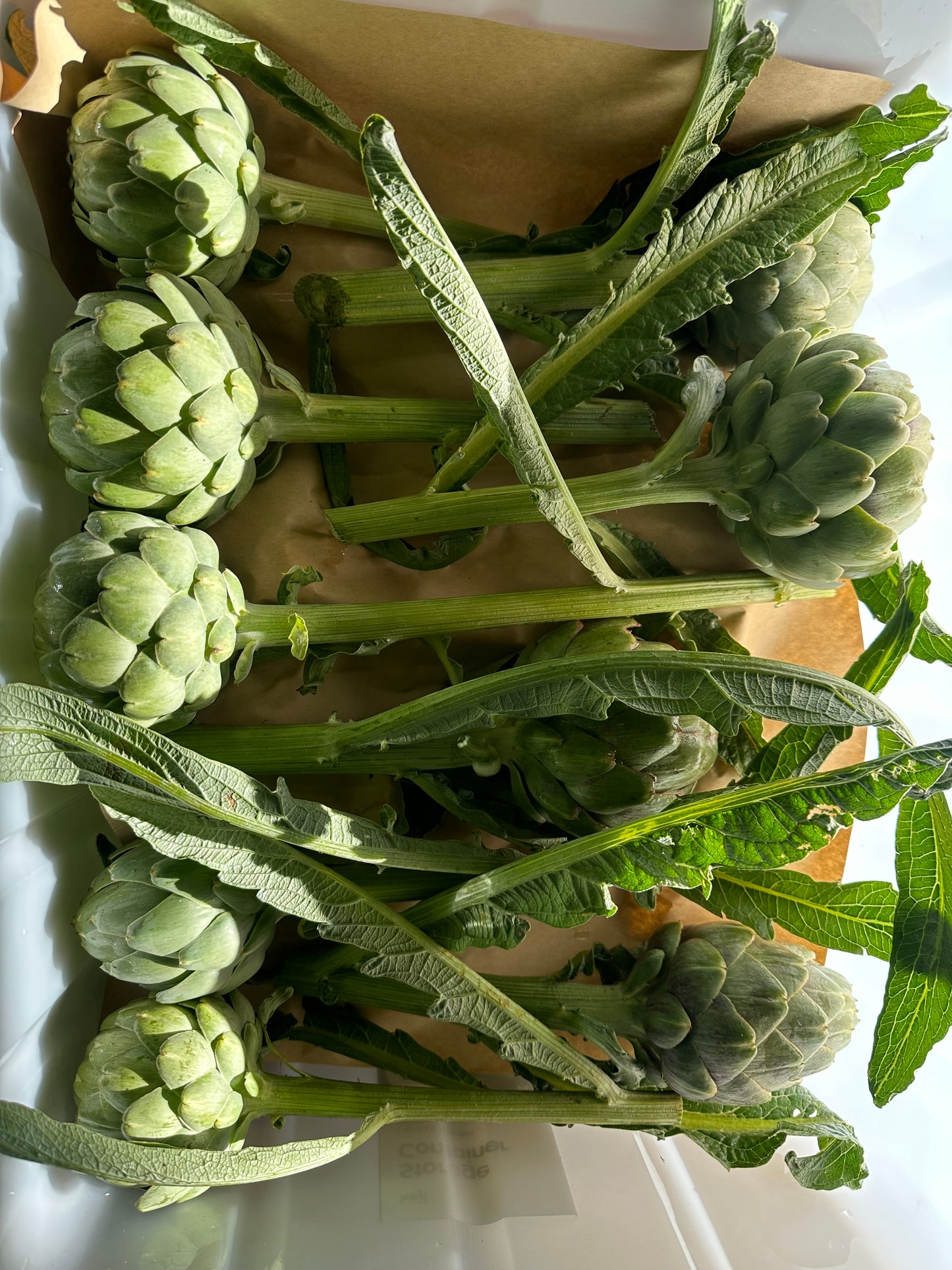 Artichokes