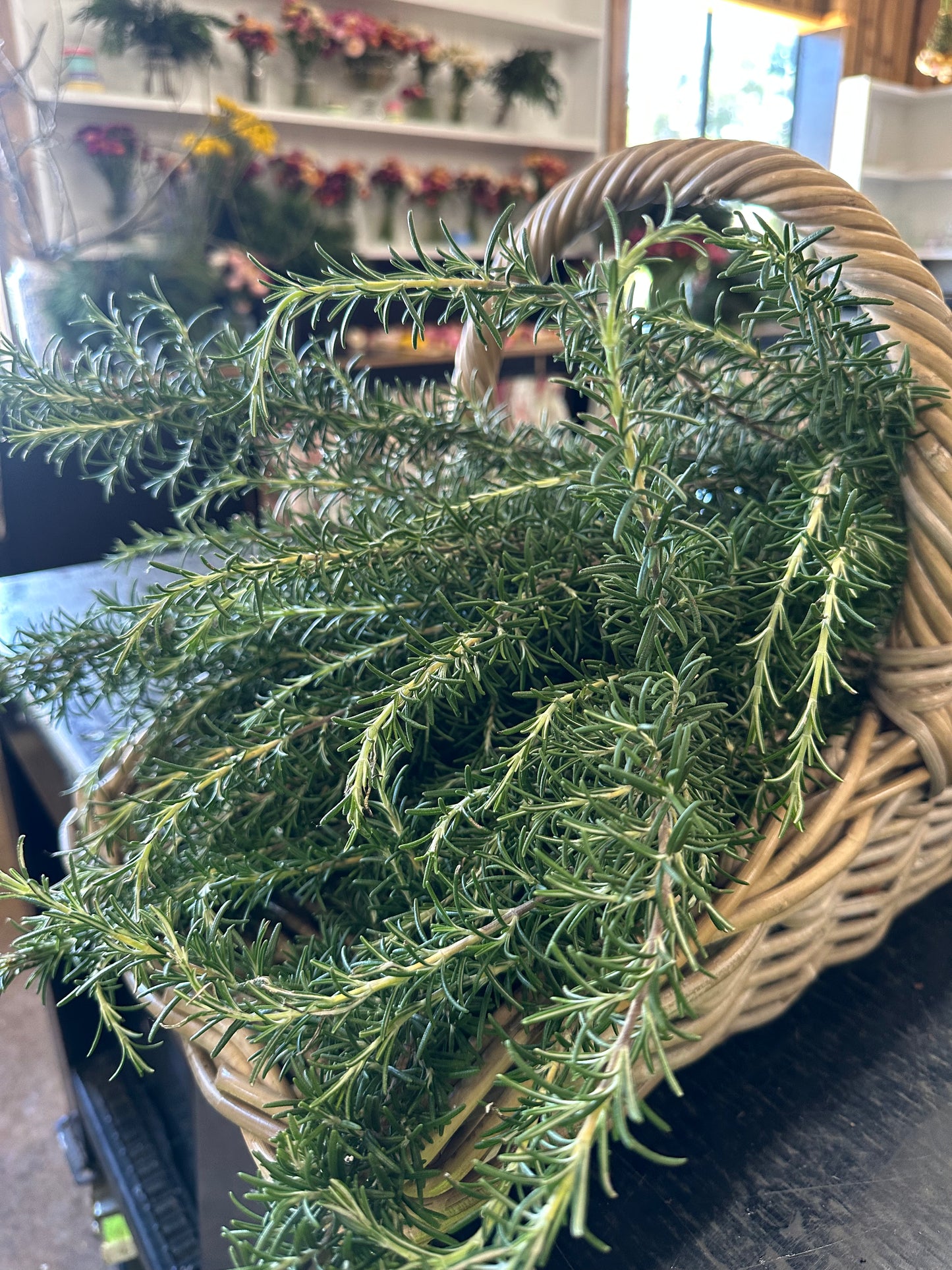 Rosemary