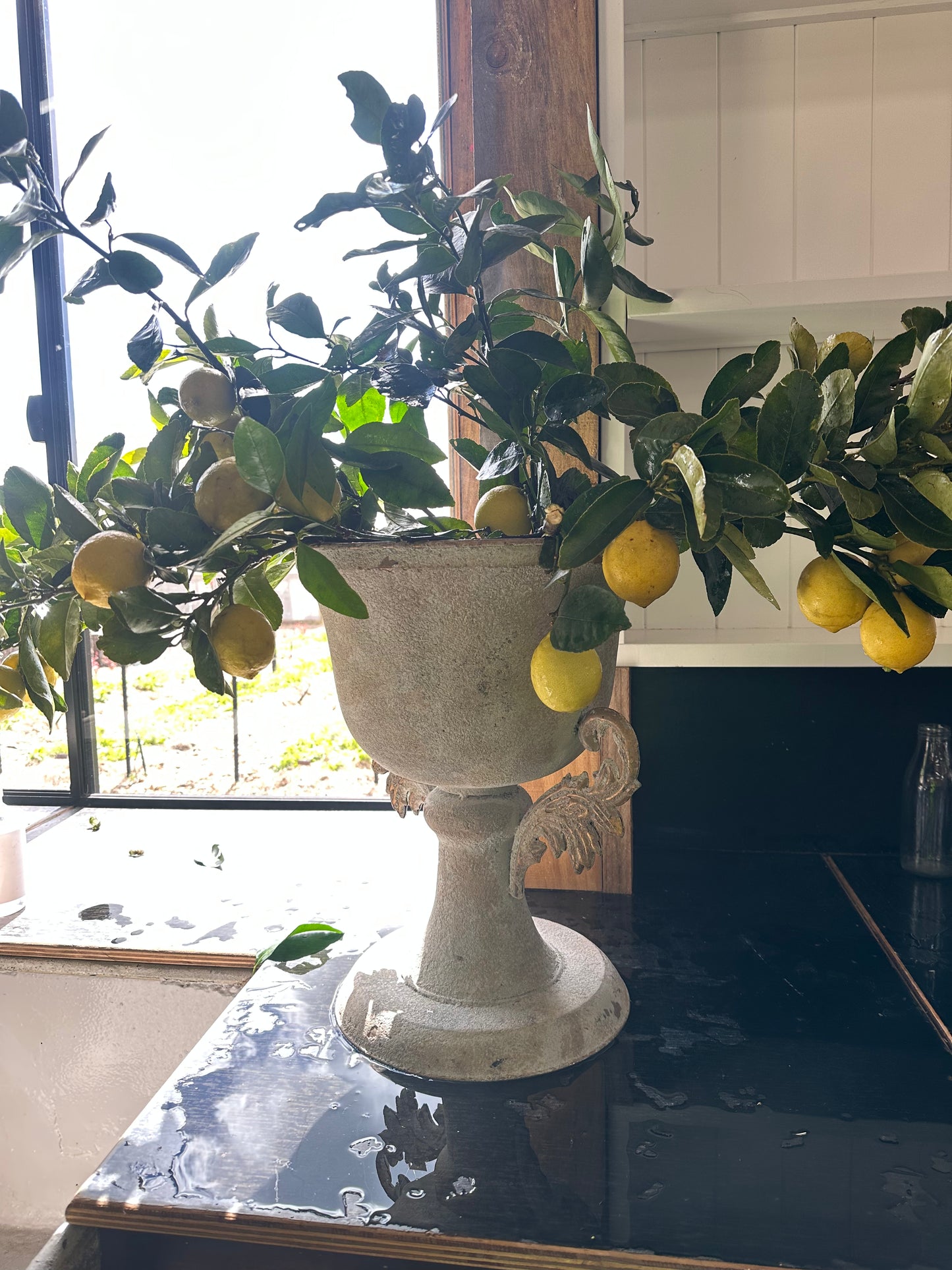 Varese Iron Urn Planter