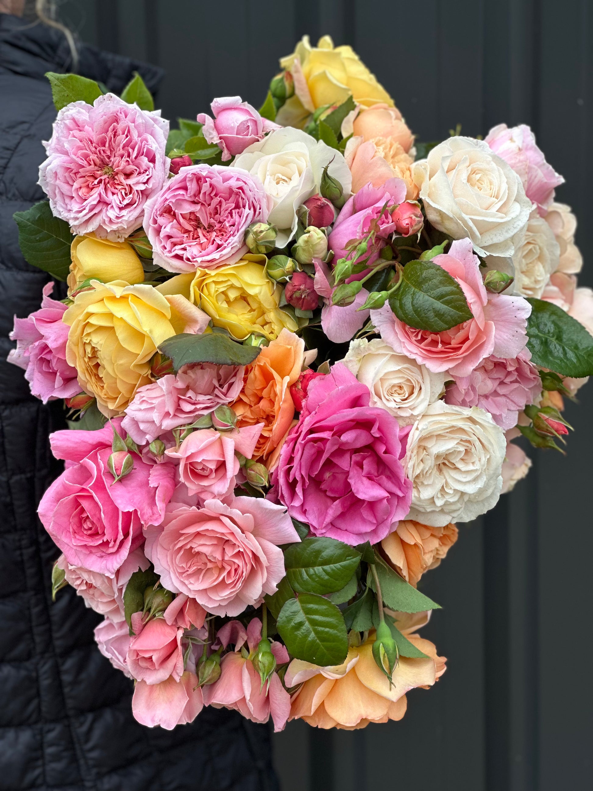 Owl Grove Roses Roses – Oxley Hill Farm Flowers