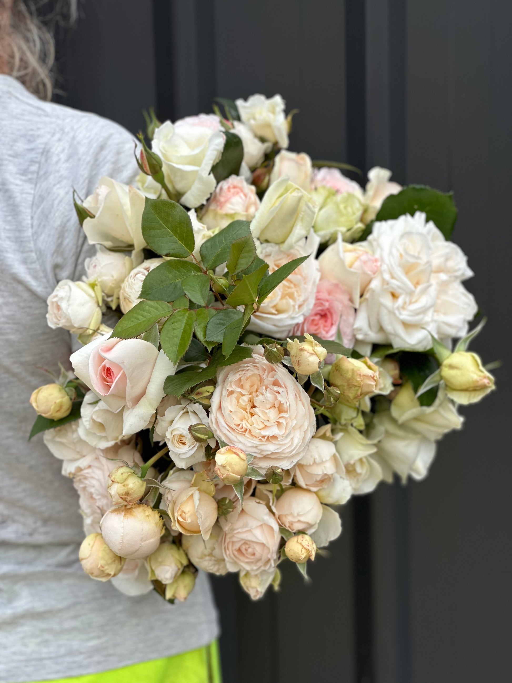 Owl Grove Roses Roses – Oxley Hill Farm Flowers