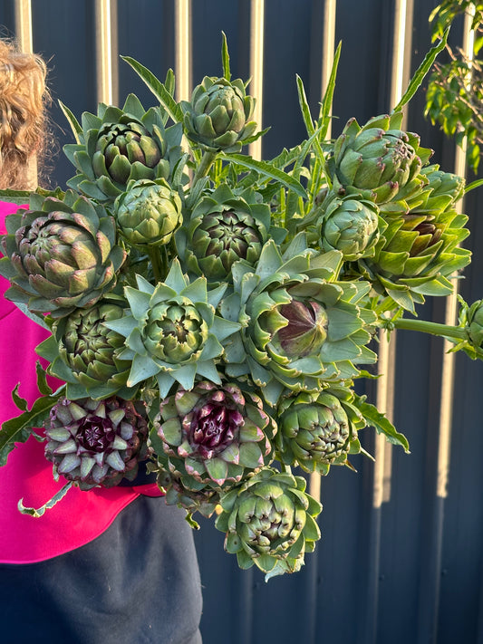 Artichokes
