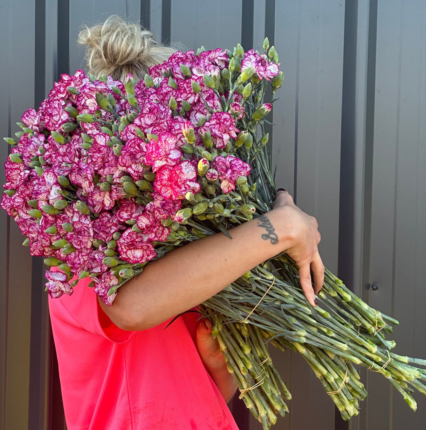 Carnations