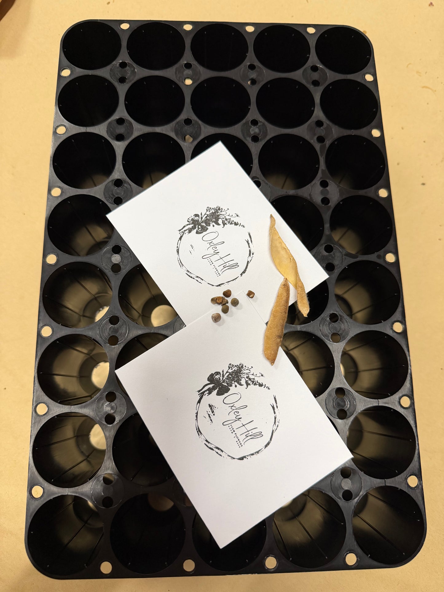 Hiko Growing Tray & 4 x Sweet Pea Seeds Packs