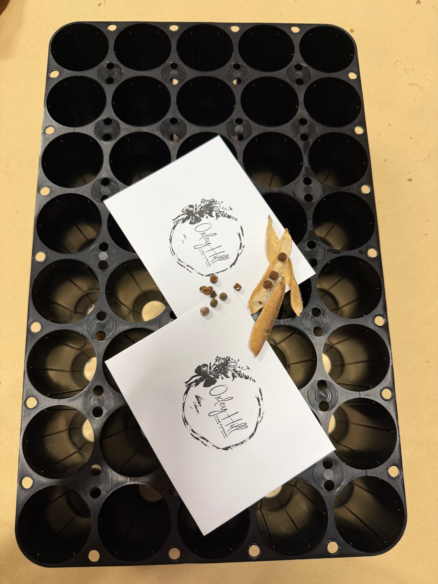 Hiko Growing Tray & 4 x Sweet Pea Seeds Packs