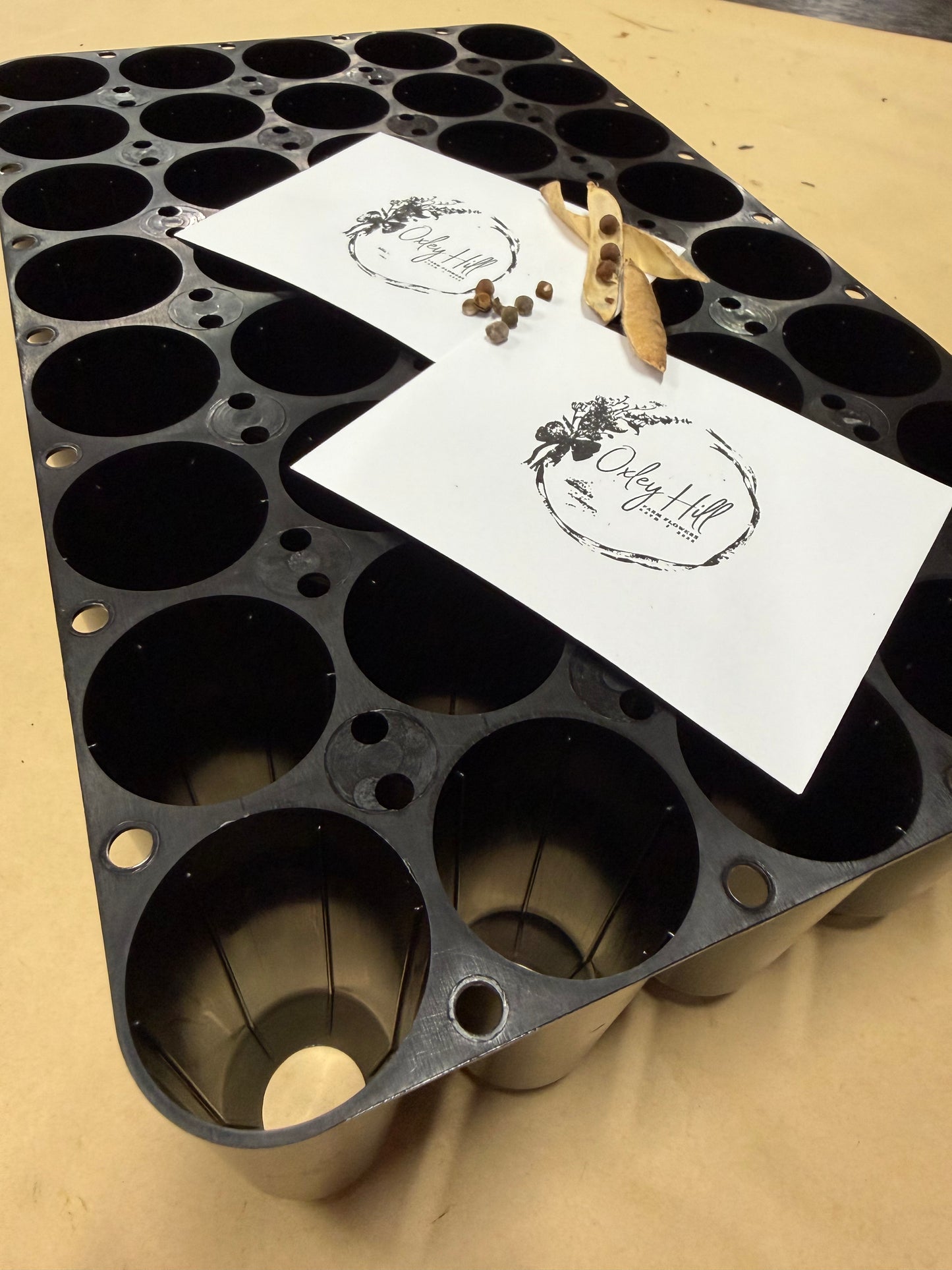 Hiko Growing Tray & 4 x Sweet Pea Seeds Packs