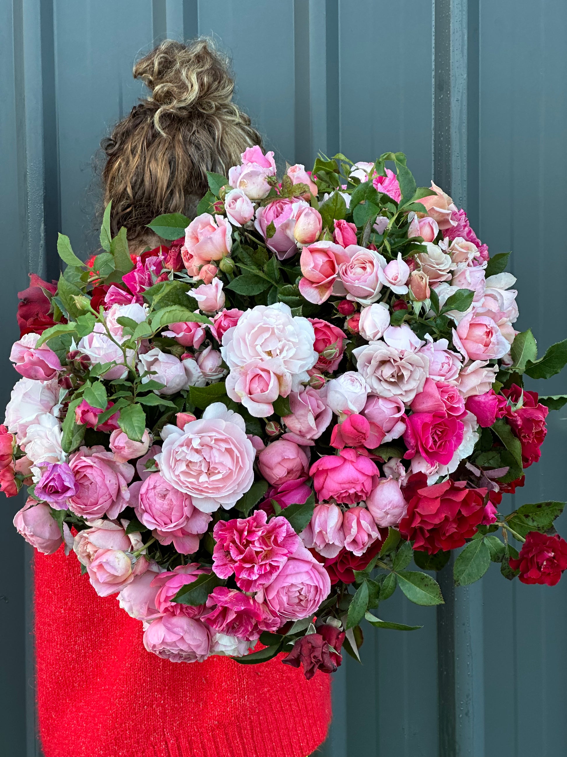 Owl Grove Roses Roses – Oxley Hill Farm Flowers