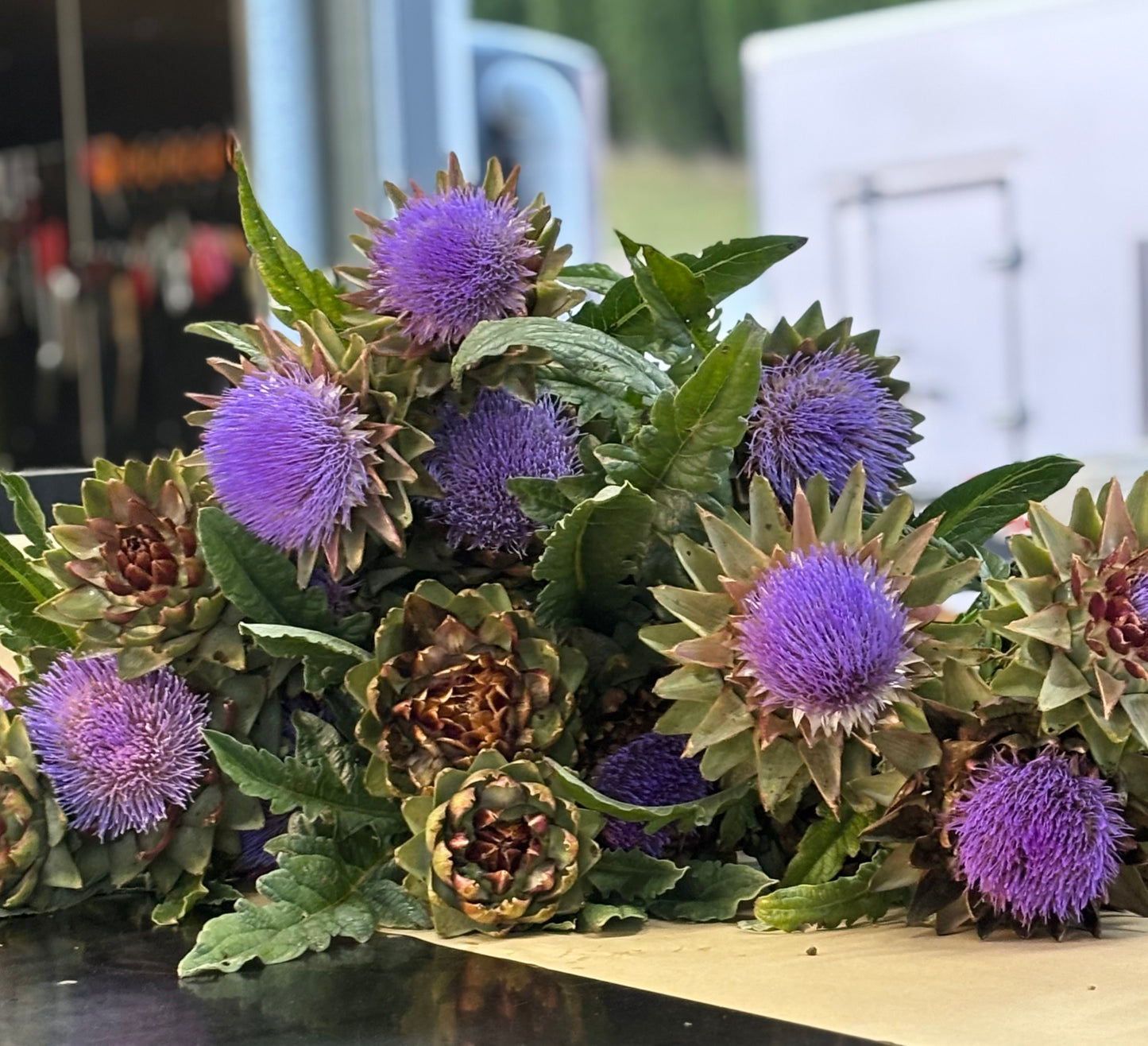 Artichokes