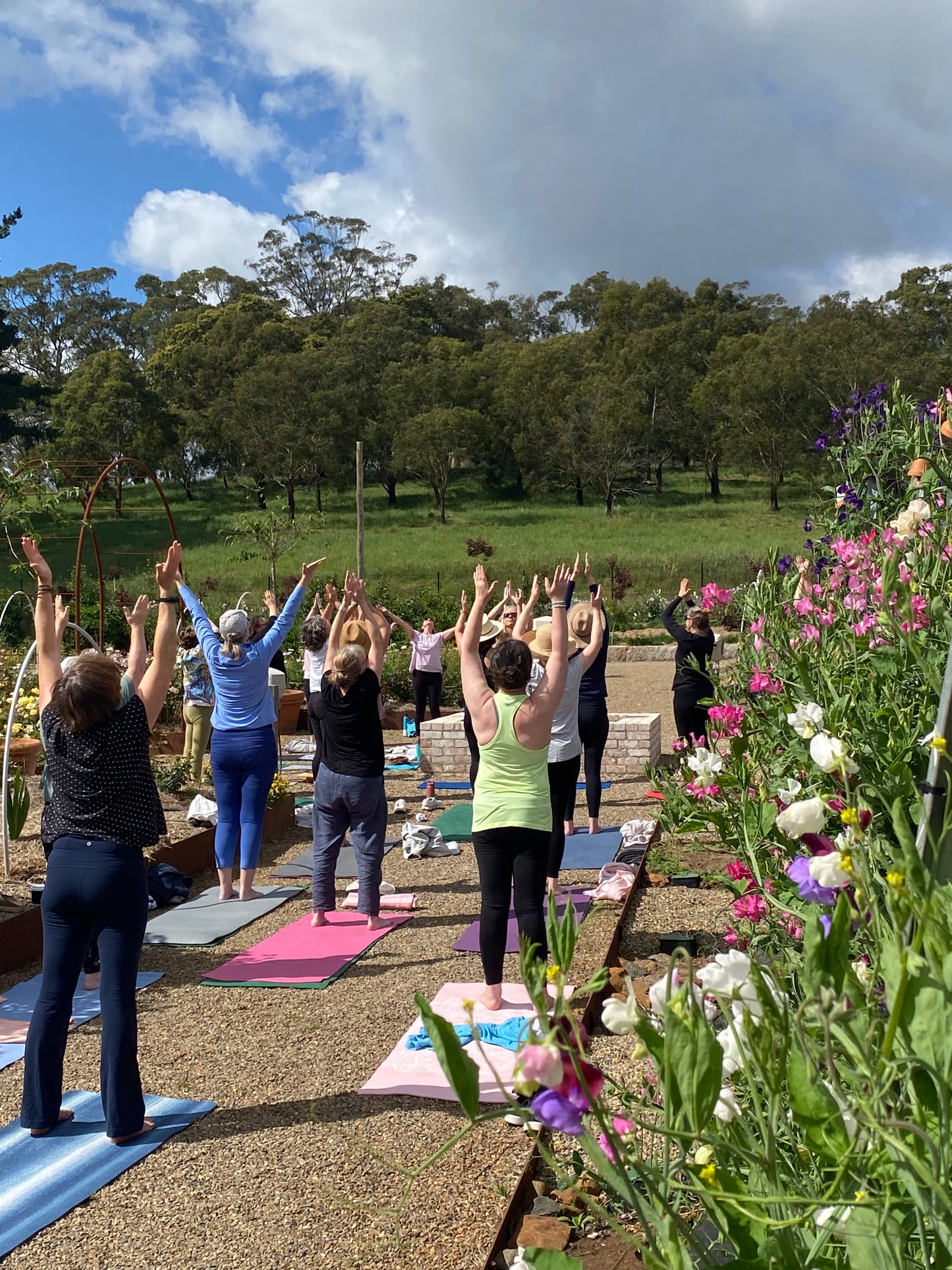 YOGA SESSION