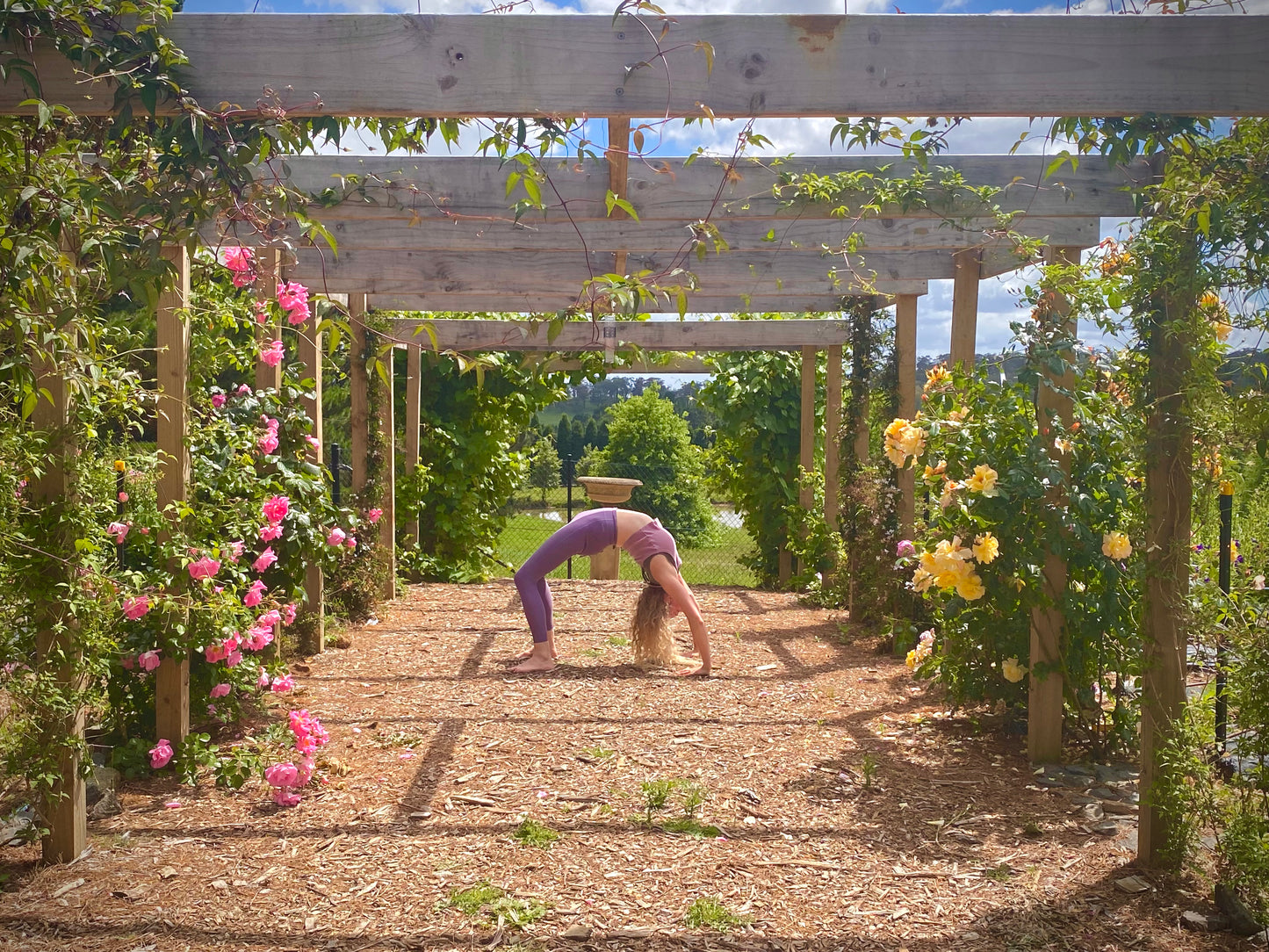 YOGA SESSION
