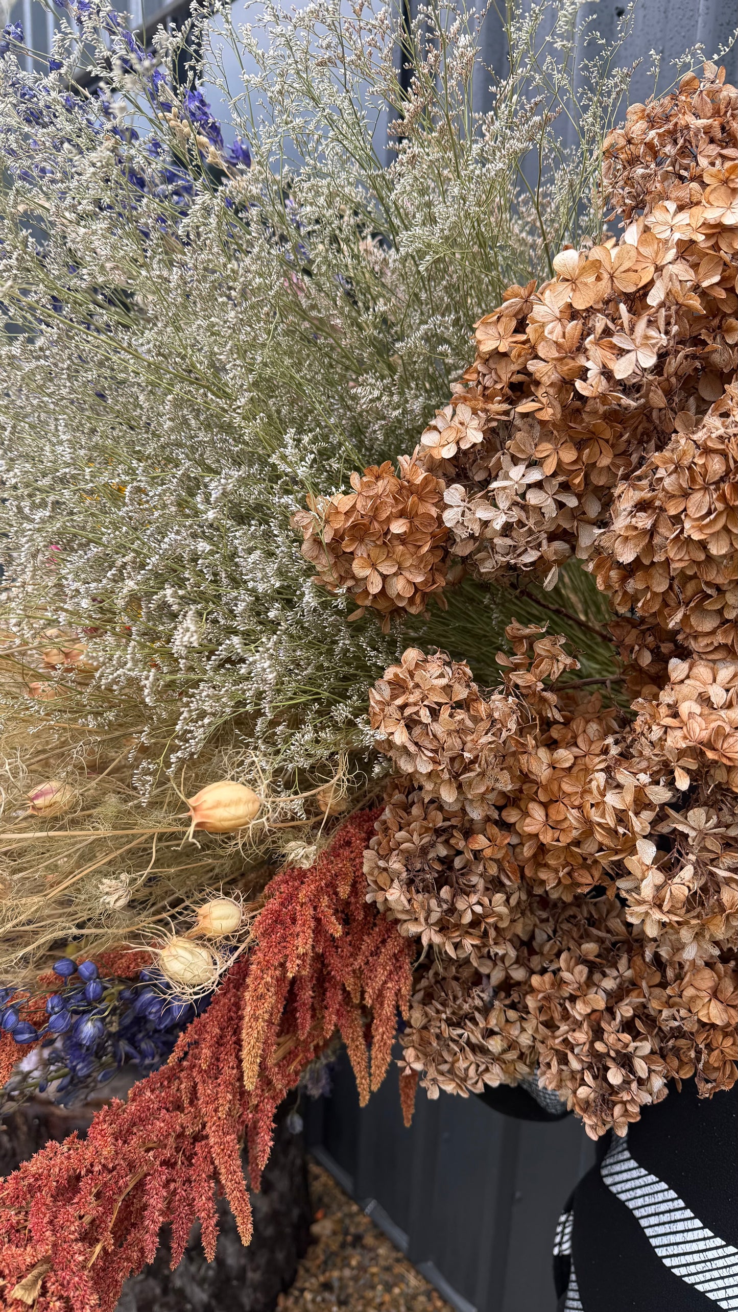 Dried Hydrangeas