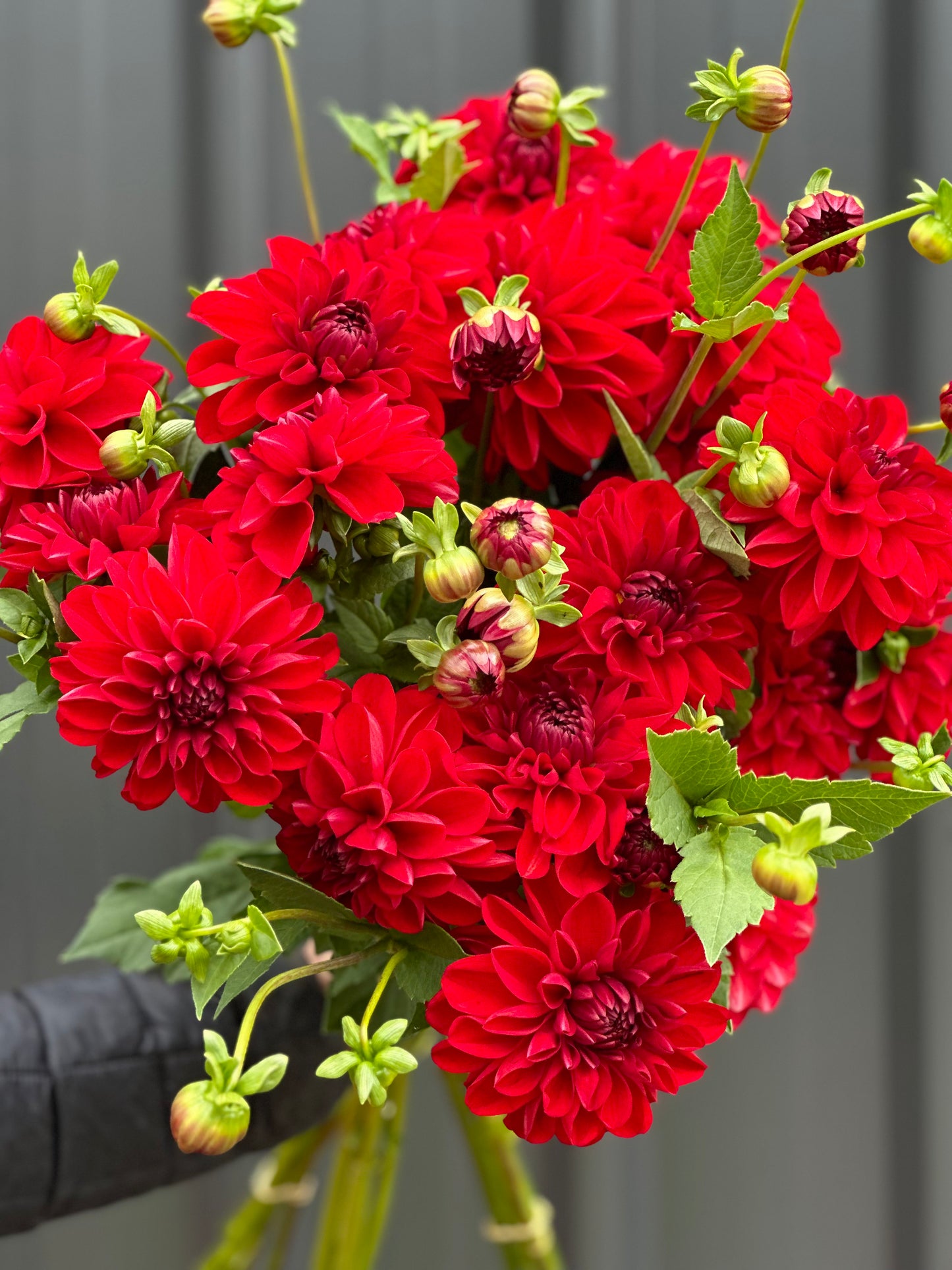 VALENTINES DAY BOUQUET