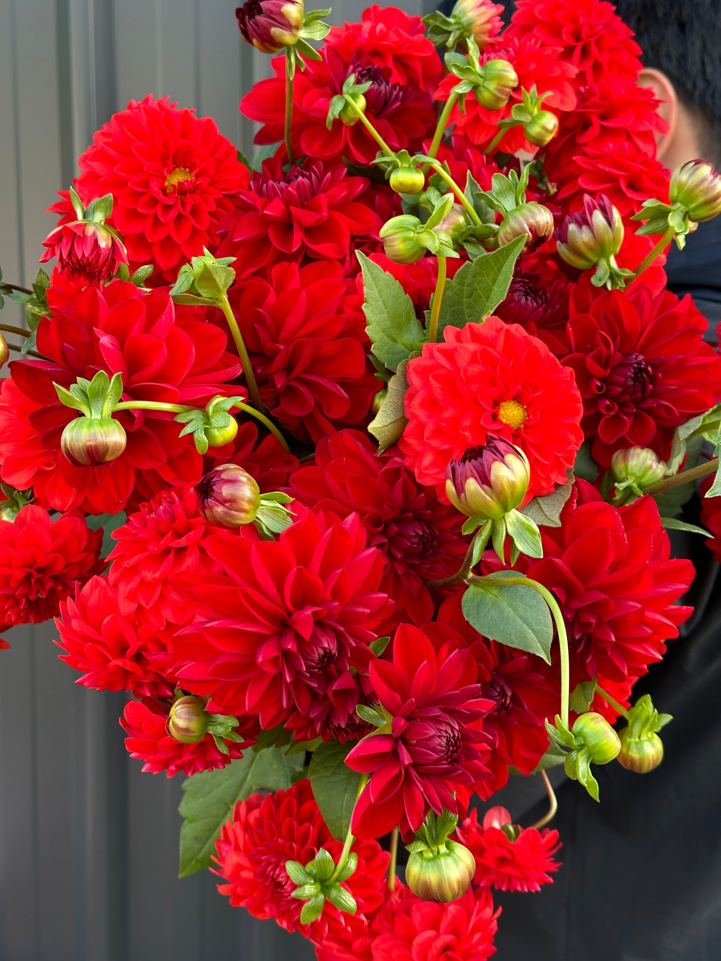 VALENTINES DAY BOUQUET