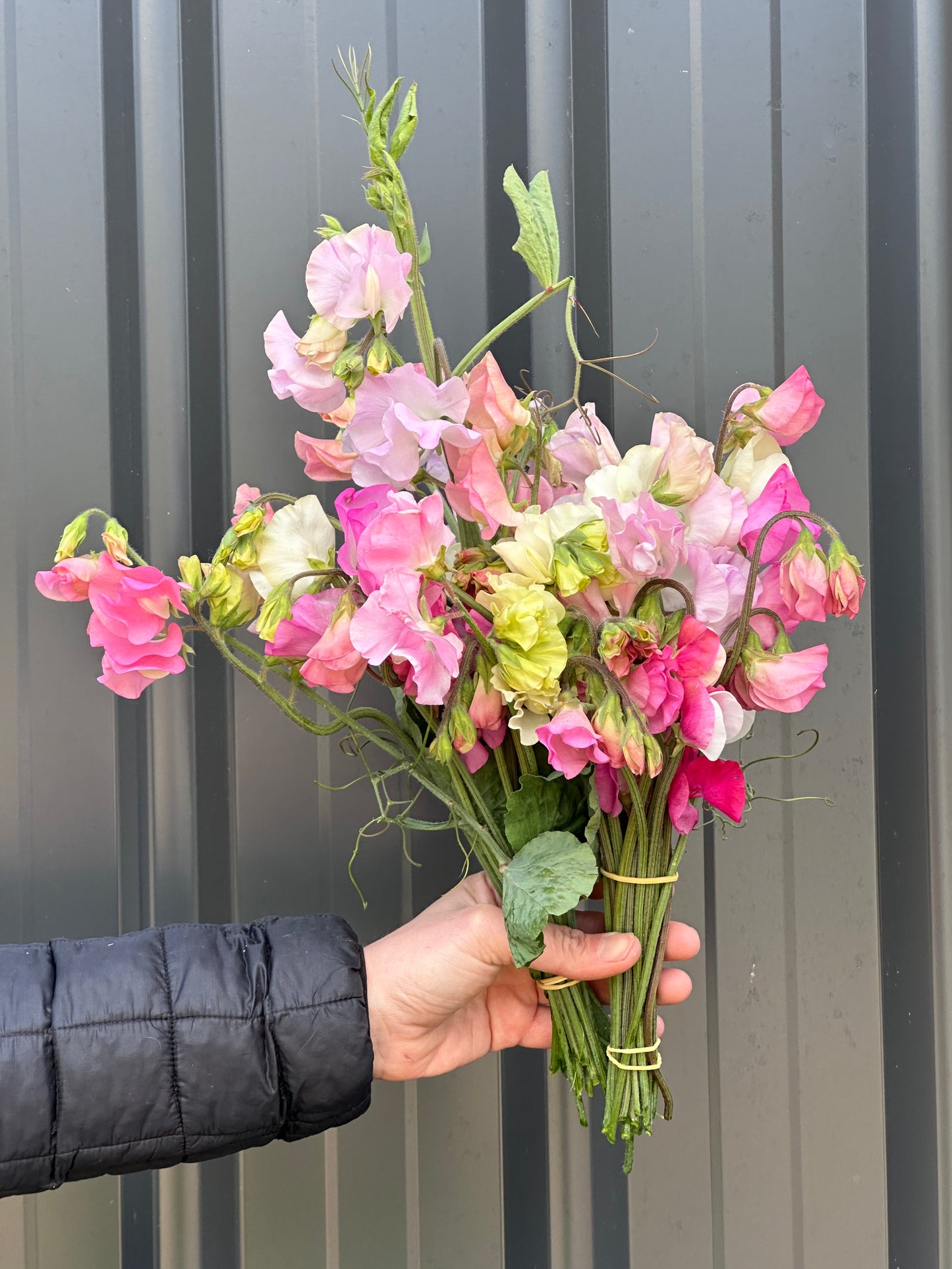 Seasonal Bunch of flowers (Spring)