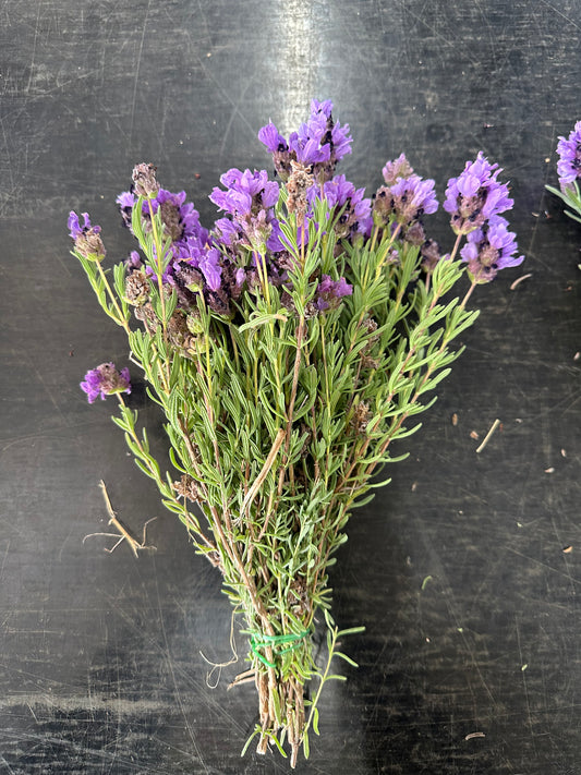 Lavender
