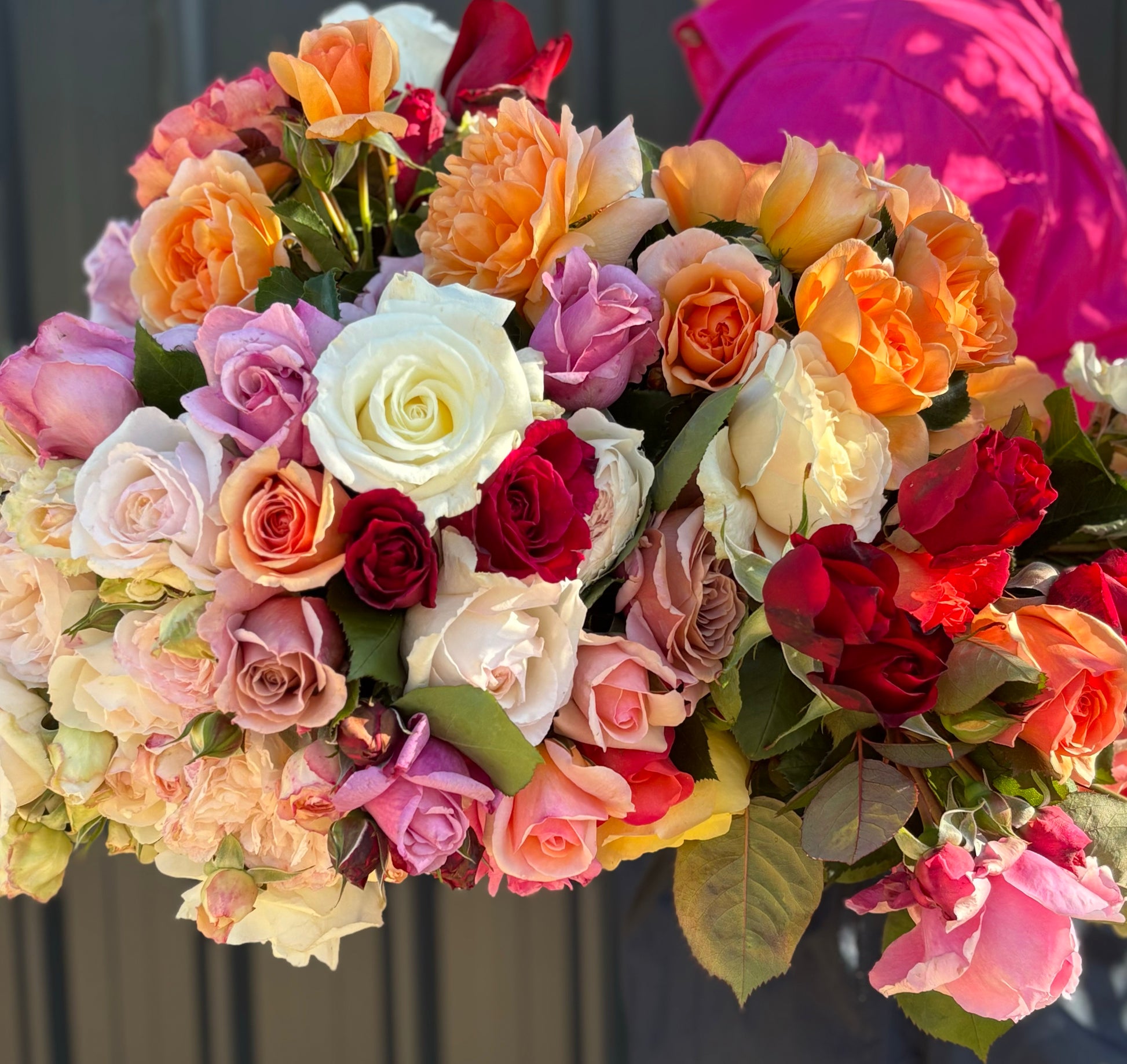 Owl Grove Roses Roses – Oxley Hill Farm Flowers