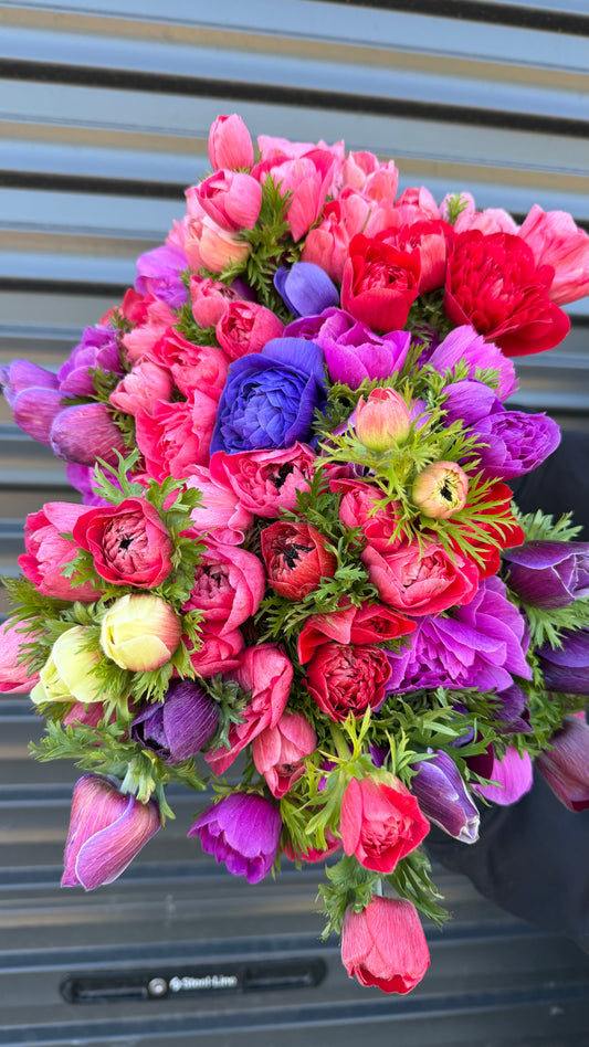 Anemone