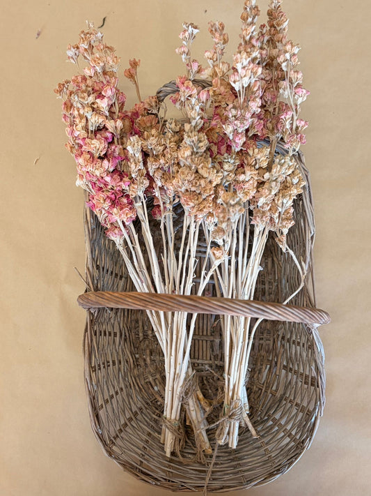 Dried Stock